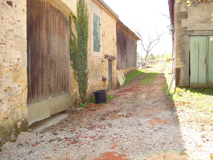 cow shed beginning