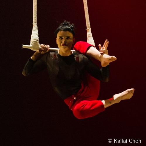 teacher dance trapeze : technique